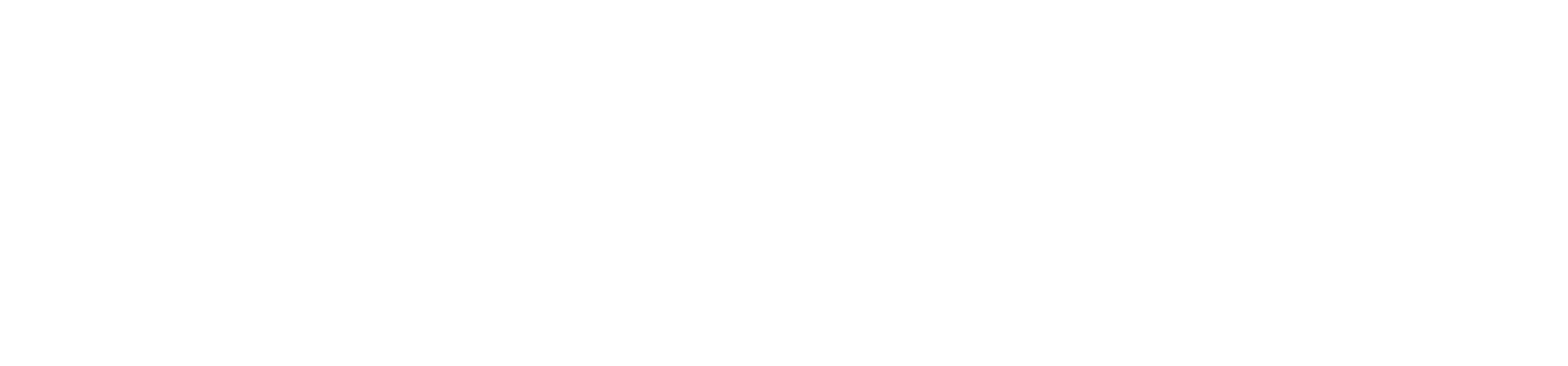 Kaimetrics Logo